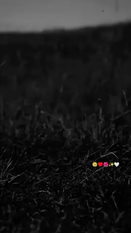 #رانسي🖇🖤 #😂😂😂 #اخي  #مجرد________ذووووووق🎶🎵💞 