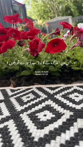 #😇 #♥️ #alquranulkarim #surahkahf 