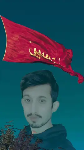 #CapCut 