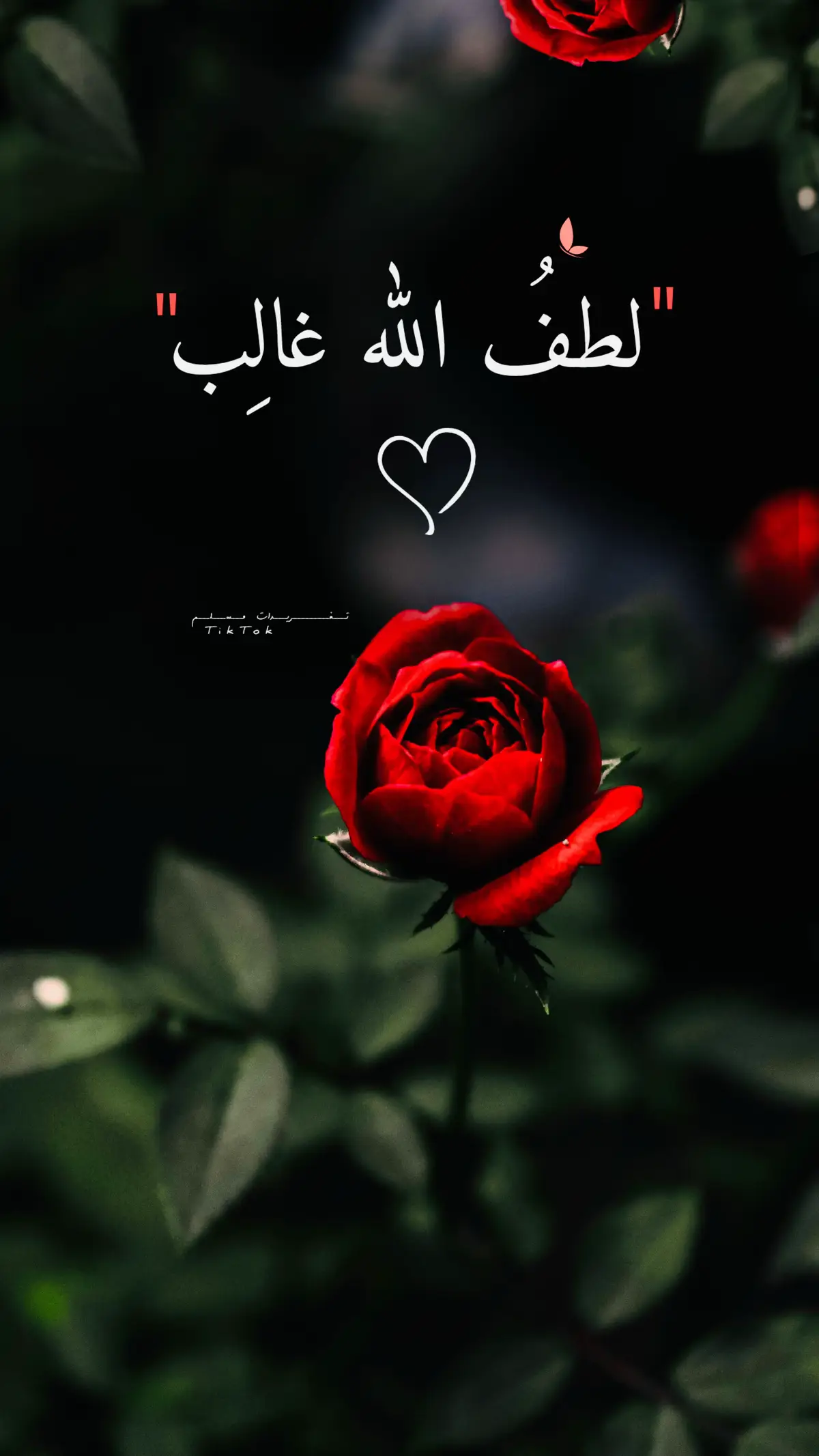 #دعاء #بلال_دربالي #اكسبلور #fyp #خواطر #عبارات 