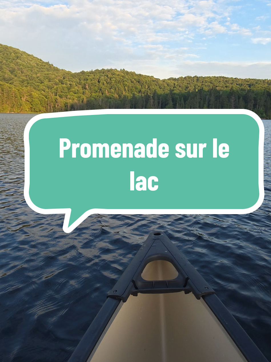 Qui d’autre rêve de finir ses journées comme ça à son travail et d’en profiter les jours de repos ? Canoé. Bruit des animaux. Il est 20h30, 27 degrés, personne sur le lac, un jour de juin. Le genre de moment qu’on n’oublie pas. Et en bonus : ces couchers de soleil 🔥 T’es plutôt team lac vide ou plage blindée ? 👀 #pourtoi 
