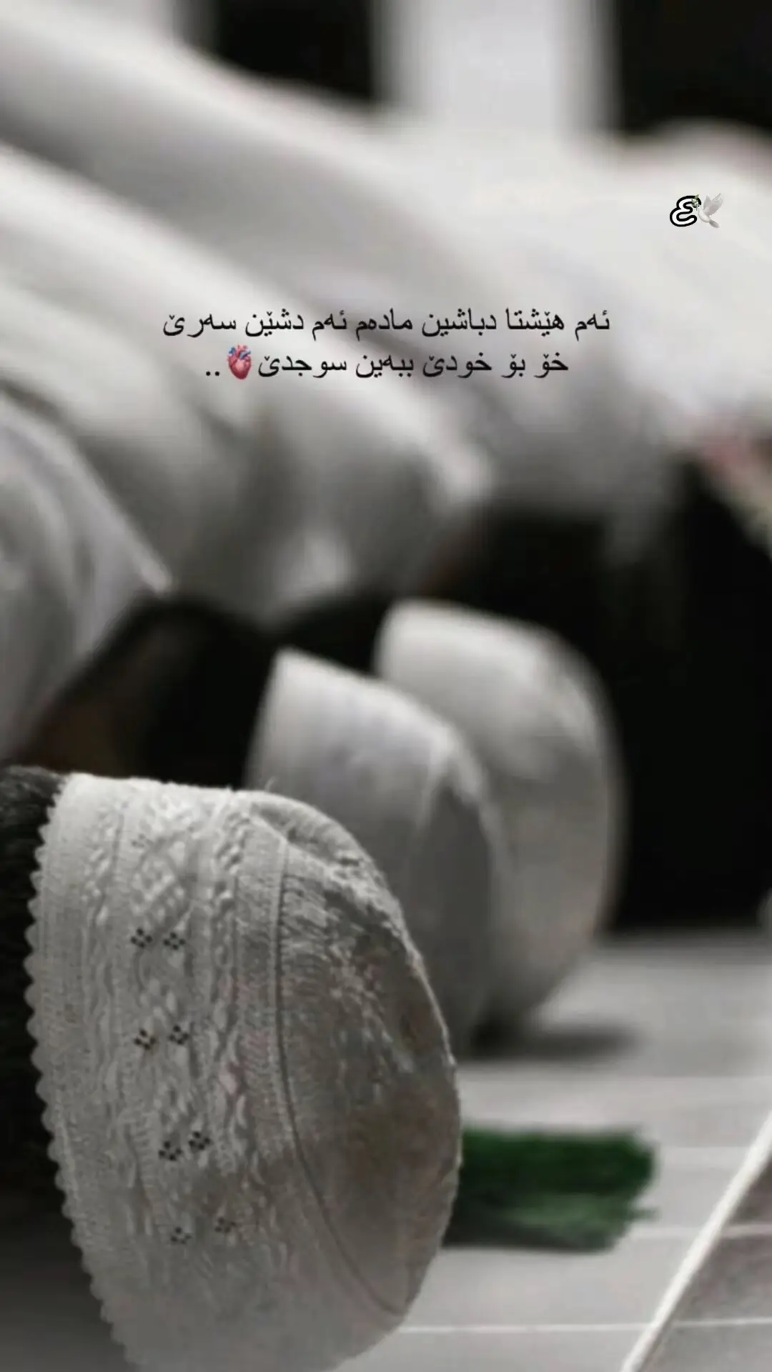 #onthisday #E🕊 #allhamdullilah #لااله_الا_انت_سبحانك_اني_كنت_من_ظالمين 
