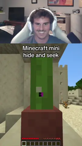 @Sapnap Minecraft hide and seek #Minecraft #minecraftmemes #minecrafter 