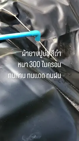 #ผ้ายางปูบ่อ พลาสติกปูบ่อ สีดำ หนา 300 ไมครอน ทนทาน ทนแดด ทนฝน #มีหลายขนาดให้เลือก ✅