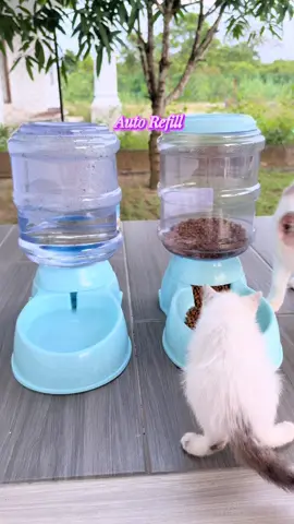 Risau nak tinggal kan pet dekat rumah? Pakai ni jer.Tak perlu lagi nak risau makanan masuk habuk/kotor sebab boleh masukkan semula. #pet #pets #automaticpetfood #petfood #petfeeder #tempatmakankucing #automaticfood #bekasmakanan #bekasmakanankucing #murah #viral #fyp