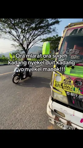 termanok manok #fyp #beranda #tiktok #tiktokpelitfyp #fyppppppppppppppppppppppp #drivermuda #supirtrukindonesia 