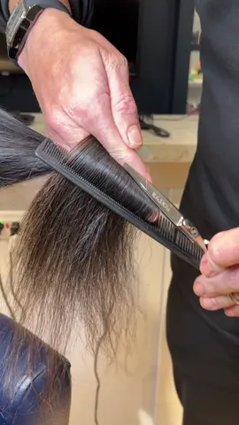 Hair dusting at its best✌🏻😮‍💨 #haircut #haircuts #haircutting #haircutchallenge #dusting #hairdusting #limpiezadepuntas #limpiezadepuntasabiertas #cortedepuntas #cortebordado 