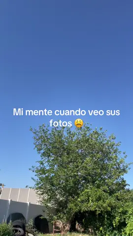 🧠 mi mente siempre que veo tus #fotos #fyp 