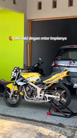 versi ninja ss🤩🚀#ninjass #modifikasi #ninja #hd #fyppp #bismilahfyppp 