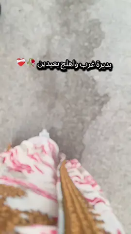 #بديرة_غرب_واهلج_بعيدين ❤️‍🩹🥀 #تركيا_العراق_الكويت_مصر_سوريا  #CapCut 