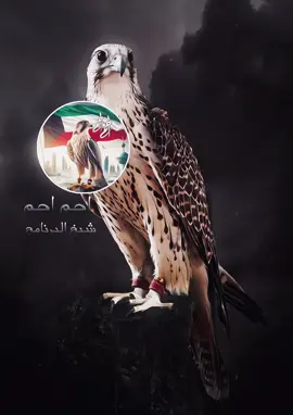 شيخ البرنامج احم احم  #احم_احم #ولد_شيوخ_ابآ_عن_جد  @احم احم  #ahem2ahem #__eight888__  @falcon999  @almor3eba  #المصمم_خالد_الجزائري 