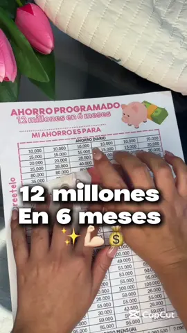 ¿Hacemos juntos este reto de 12 millones para diciembre? Comenta ✨SI✨ para enviarte más información 💛 #abundancia #ahorro #ahorrochallenge #reto #plantilladeahorro #plantilladeahorrogratis #ahorroprogramado 