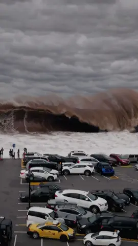 Surfs up 😱  #surf #ocean #tsunami 