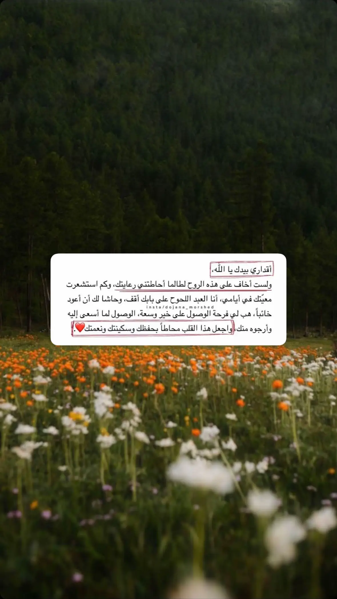 #رمضان #قيام_الليل #الوتر #ثلث_الليل_الأخير ‏‎#بدون_موسيقى #اللهم_صل_على_نبينا_محمد #دعاء #قران #fyp #تصاميم #اكسبلور #اكسبلوررررر #اكسبلورexplore #اكسبلورر #اكسبلور_تيك_توك #اكسبلورررررررررررررررررررر #foryou #foryoupage #fy #funny #fyppppppppppppppppppppppp #fypage #football #علي_بن_ابي_طالب #عمر_بن_الخطاب #محمد_رسول_الله #العشر_الاواخر #عشر_الاواخر #قيام #التراويح 