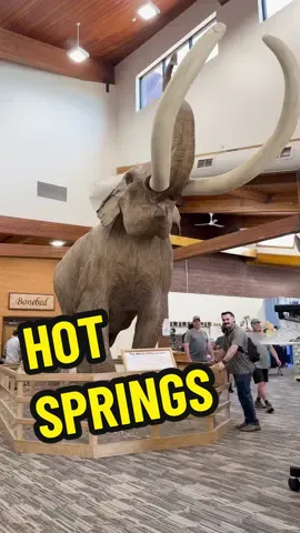 The  Hot Springs Mammoth Site! This amazing fossil deposit contains various species from the ICE AGE! @The Mammoth Site 