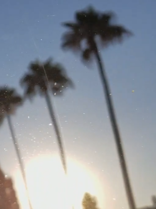California sunshine and palm trees riding down the street  #cali #sunshine #riding #palmtrees #Summer 