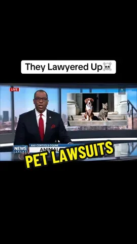 Animals if they could sue people… #animalsoftiktok #pets #aivlog #artificialhumor #lawsuit 