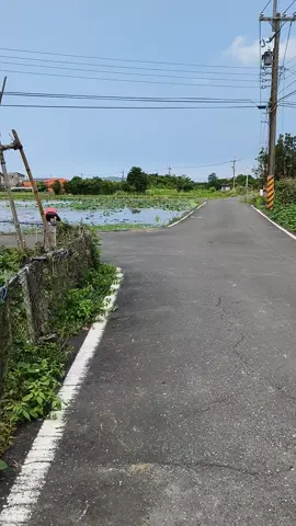 Tak Ku Sangka#Enak Denger lagunya Sambil Ngopi😁