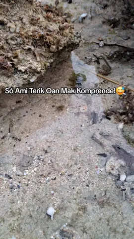 🤣