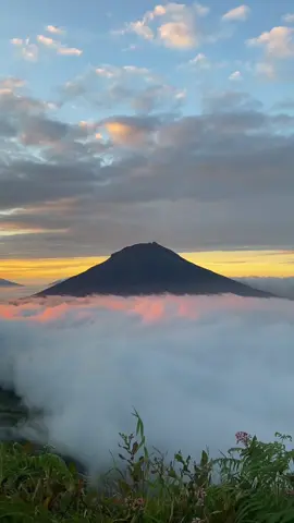 kembang 26 juni 😍#sunrise #pendakigunung #pendakifomo 