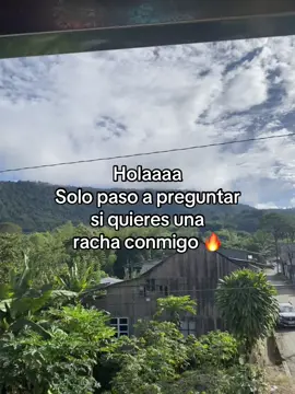 #viral #parati #activalaracha