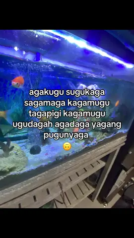 agakugu sugukaga sagamaga kagamugu tagapigi kagamugu ugudagah agadaga yagang pugunyaga#bahasag#kata #masukberandafyp #foreyoupage #fypシ゚viral 