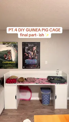 PT. 4: my brand new 6X2!!! the piggies are in!!!! can’t wait to redecorate this new space now!!!! 💋💋🌈💖✨💕🐽🐽 THANK YOU GOES ALL TO MY MAN MY MAN MY MAN😇😇😇😇 #pets #guineapig #guineapigcage #kavee #squeakdreams #guineapigs #guineatok #guineapigsoftiktok #pettok #fish #turtles #turtletok #fishtok #petcreator #guineapigcare #guineapigtips #diyguineapig #kaytee #oxbow #DIY #cuteguineapig #animals #cuteanimals #animaltok #petlover #smallanimals 
