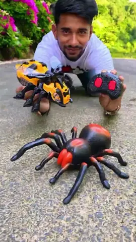Non Rc 1 ta Honey Bee vs Remote Control Spider #ToyTalesUK  #PlaytimeFavourites #UKToyReview #ToyLoveUK #KidsToysUK #ToyTrends2024 #BritishToys #ToyUnboxingUK #UKToyCollectors #ChildsPlayUK 