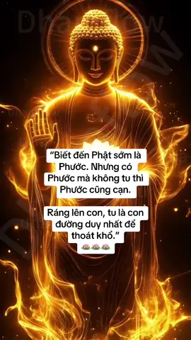 Tu ở đây là tu tâm, dưỡng tính, hành thiện, sống có đức. Nam Mô A Di Đà Phật🪷🙏 #tueantutap #phatphap #phatphapnhiemmau #nammoadidaphat #duongtam #tutap #phatphap 