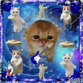 I'll send you my love on a wire 🐈🎶 #viral #catcore #talkingpetsai #sillycats #brainrotcore #cattok #catsoftiktok #usa #catlover #brainrot #jollytok #catslovers #2021 #corecoretiktok #cats #sillycat #mecore 