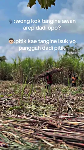 rodok kawanen #blitar24jam#tebubalap#fyp#sopirindonesia 