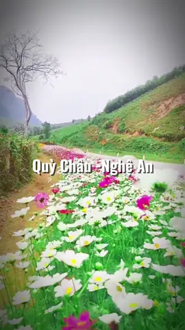 Quỳ Châu - Nghệ An, Chào anh em quỳ châu nhé, một vẻ đẹp đậm chất vùng cao #letho #xuhuongtiktok #xh #trend #nghean #nghean37 #37 #ngamcanhdep #canhdep 
