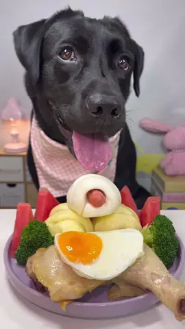 #labrador #cute #dog #pet #feed 