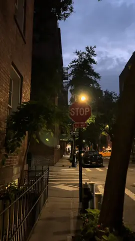 summer in the west village  #westvillage #westvillagenyc #fypシ #fyp #newyork #newyorkcity 
