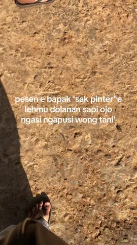 🫡#bakulsapi #peternakmuda #simental #jagalsapi #lewatberanda 