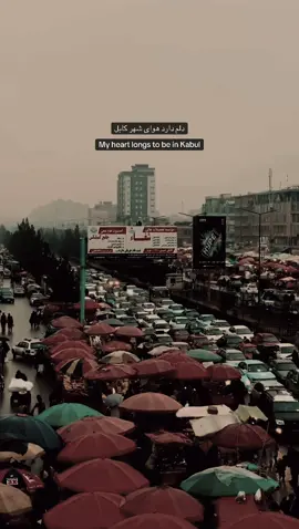 I haven’t forgotten Kabul. The air of its alleys and bazaars still flows through my breath. Some nights, when I can’t fall asleep, my heart quietly whispers‌, Me and the reunion with Kabul… #afg #afg #afg #afghanistan🇦🇫 #afghanistan🇦🇫 #afghanistan🇦🇫 #afghanistan #afghanistan #afghanistan #afghan #afghan #afghan #farhaddarya #afghan #farhaddarya #افغانستان #افغان #afghantiktok #🇦🇫 #فارسی_تیک_تاک #kabul #kabuljan #oldafghanistan #کابل #کابل_جان #کابل_افغانستان_ #افغانی_تیک_تاک #افغانی 
