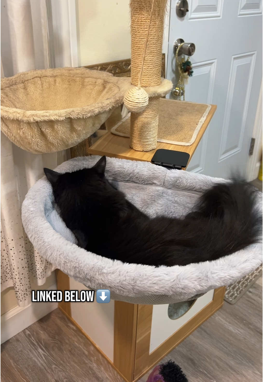 Coraline outgrew her favorite spot on the cat tree—until I found this! It’s a perfect addition to a cat tree, desk, table or anywhere your cat wants to lay! @JUNSPOW #cat #tiktokshop #tiktokmademebuyit 