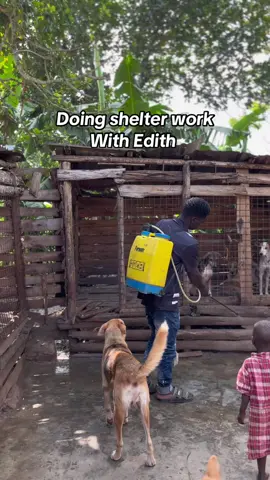Hope you become our friend with Edith to support our shelter and giving a second chance to to stray abandoned dogs  #badrudogshelter  @Catlady Wanda Novosad 