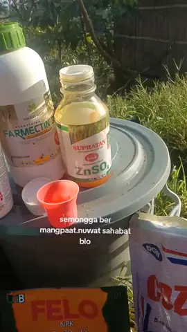#fypppp #petaniindonesia🇮🇩🇮🇩🇮🇩🌿🌿 lampung barat.kecamatan kebuntebu