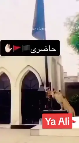 Alam hajri#Ali #ya_aliع #ya_hussainع #ya_ali_madad #foryoupage @🇵🇰Feroz Khan🇦🇪 