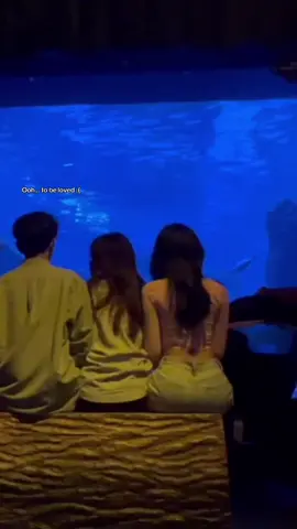 i’m sick #fyp #fypシ #trending #bf #gf #sister #single #aquarium 