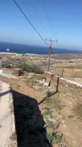 #tinoseisaisy 