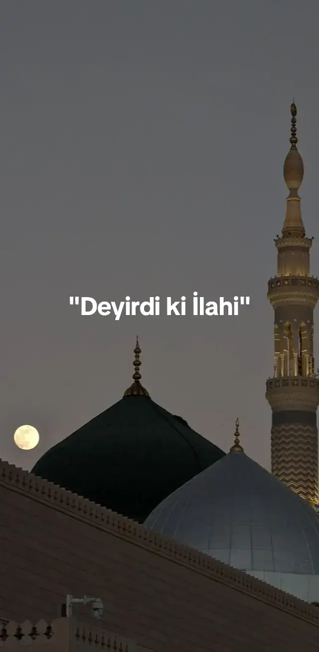 #yaəli #əhlibeyt #hacışahin #hacıramil #yahüseynkərbəla #quran #islamic_video #keşfet #islamic_video_الله_حسبنا😢☝️🤲❤️💕🕋 