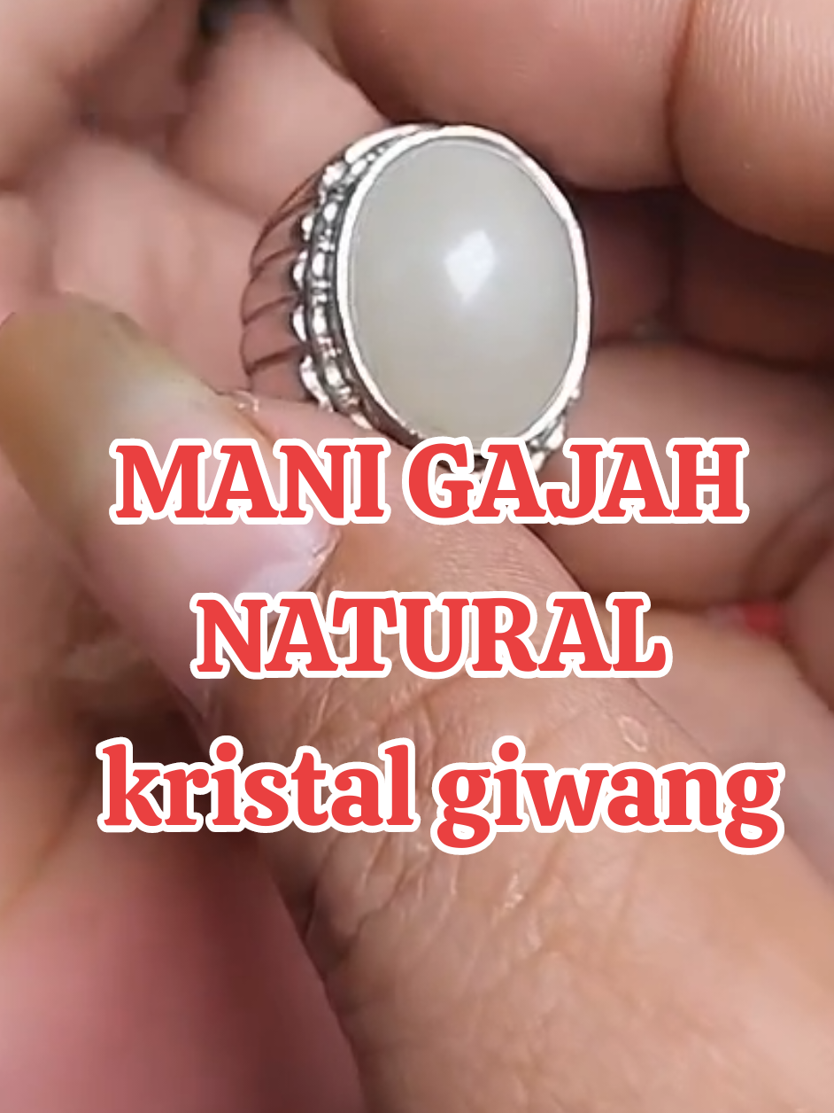 spil Batu ma ni gajah Kristal giwang #mg #kristalgiwang #lewatberanda 
