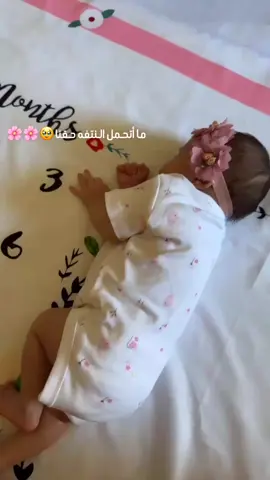 ماشاءالله 🥹🥹👧🏻#السعودية #المدينة_المنورة #اكسبلور #احبكم❤️ 