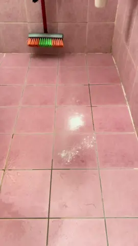 Bathroom floor scrubbing 💪🏼 this brush make my back pain but i really love it 😂 definitely will use it again. Please enjoy  #asmr #ziplemon #zippowder #lemonds #CleanTok #asmrscrub #floorscrub #bathroomcleaning #foryourpage #fypシ゚viral 