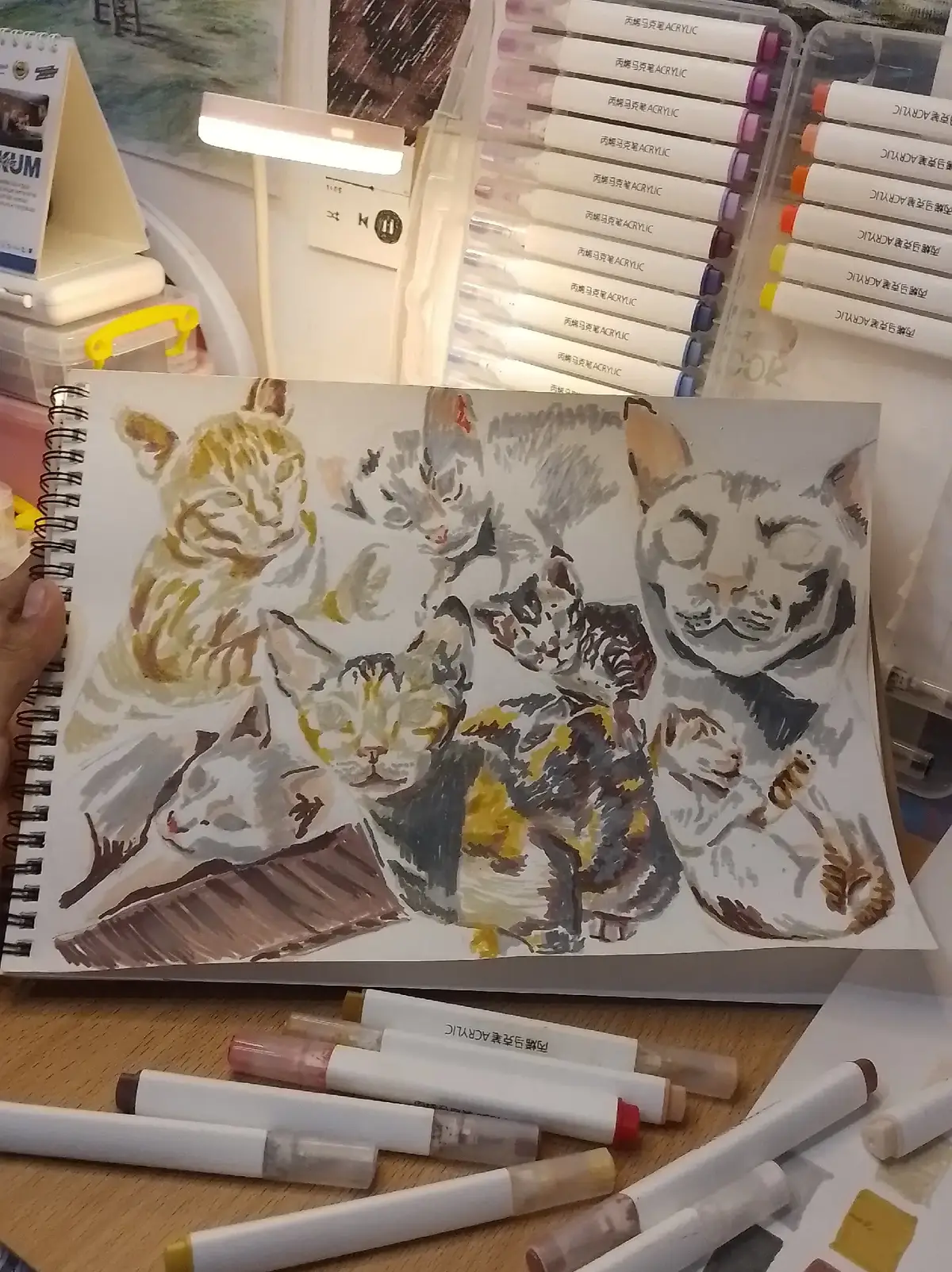 #cat #catlover #kucing #drawing #gambar #acrylicmarker #sketsa #memories 