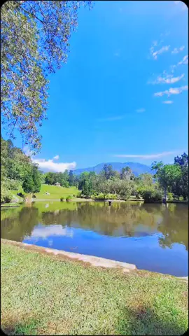 Barakallahu fii umrik fii rizqi fii ilmi fii dunya wall akhirat ya cantik nya mama🎂🥳🤩 Terimakasih banyak pak suami sudah membuat keluarga kecil untuk kami🥰 MasyaAlloh hari ulang tahun anak  yg ku inginkan sejak dulu akhirnya Engkau kabulkan Ya Alloh😊