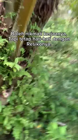 #kulisawit #ninja 