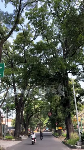 pov: kamu otw ke kampus di Bandung siang hari 🍃